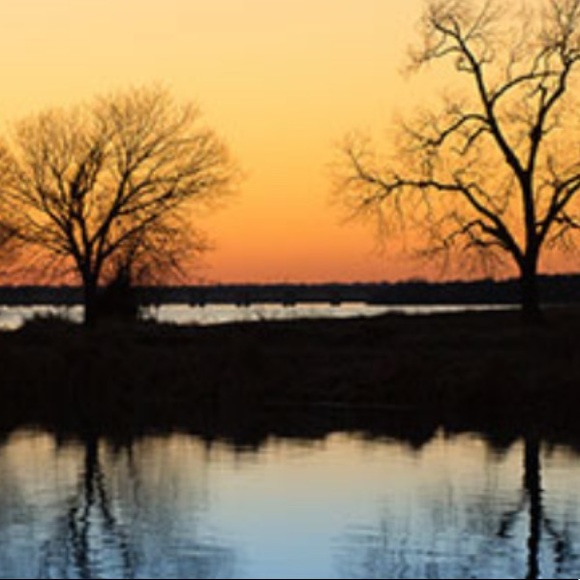 Meet your Posher, Sara - Picture 1 of 1